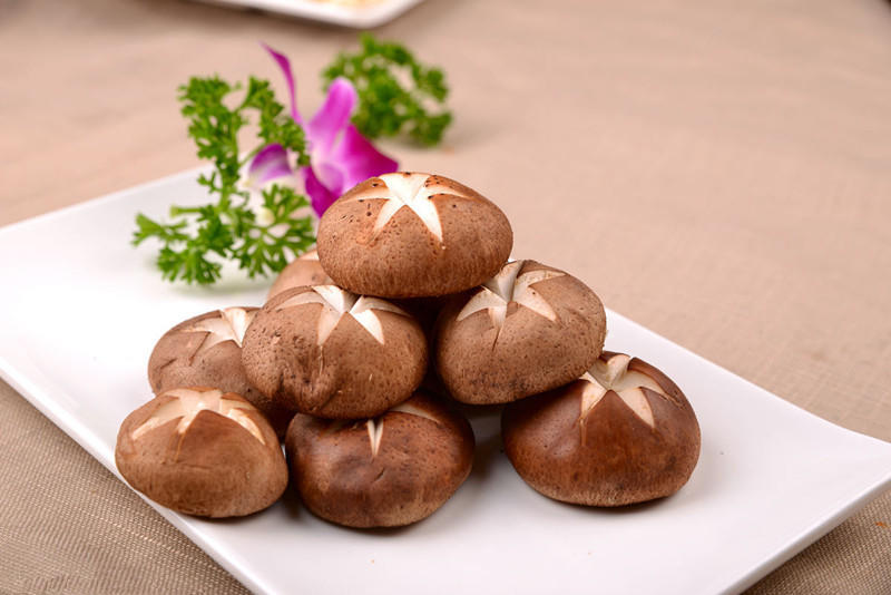 Exploring the Uses of Ergothioneine in Cosmetic Products